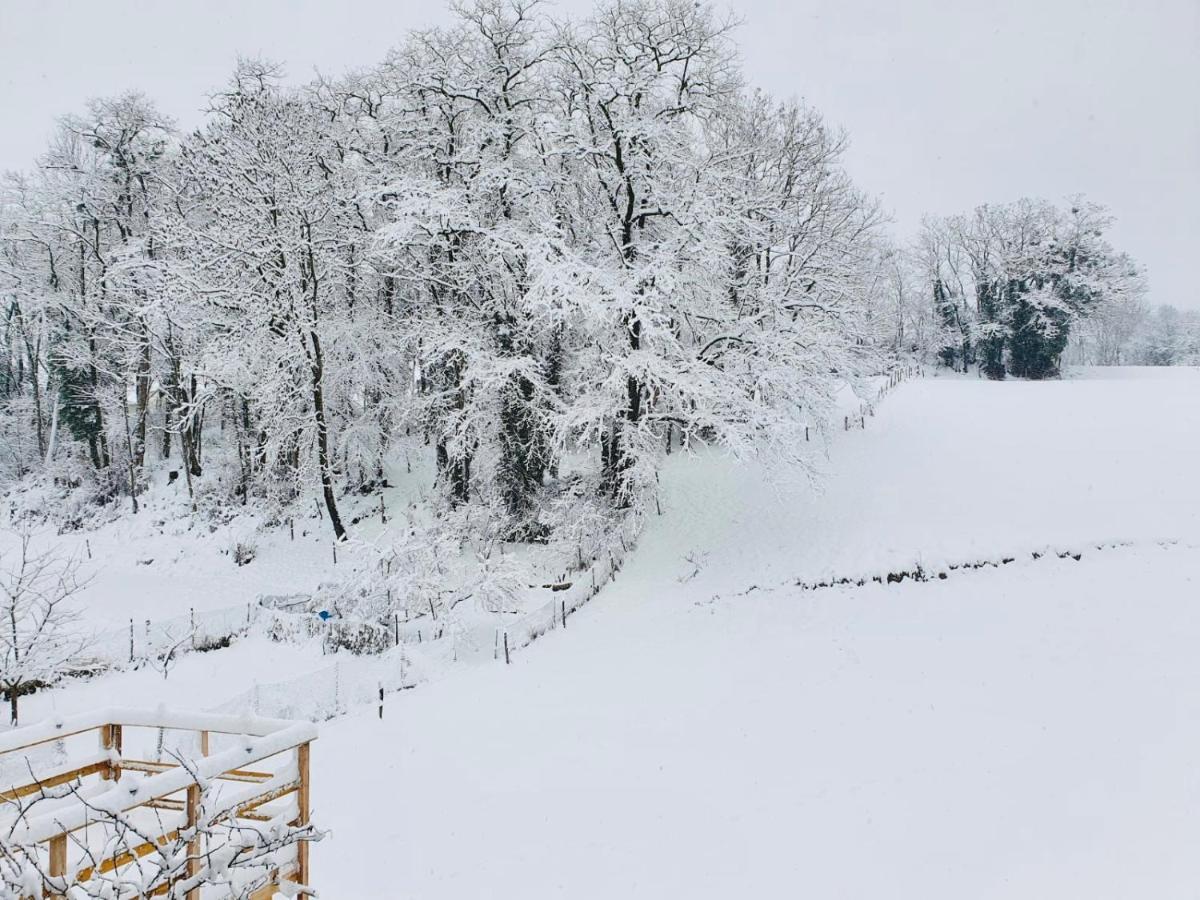 Le Lodge Du Pichat Sainte-Helene-du-Lac 외부 사진